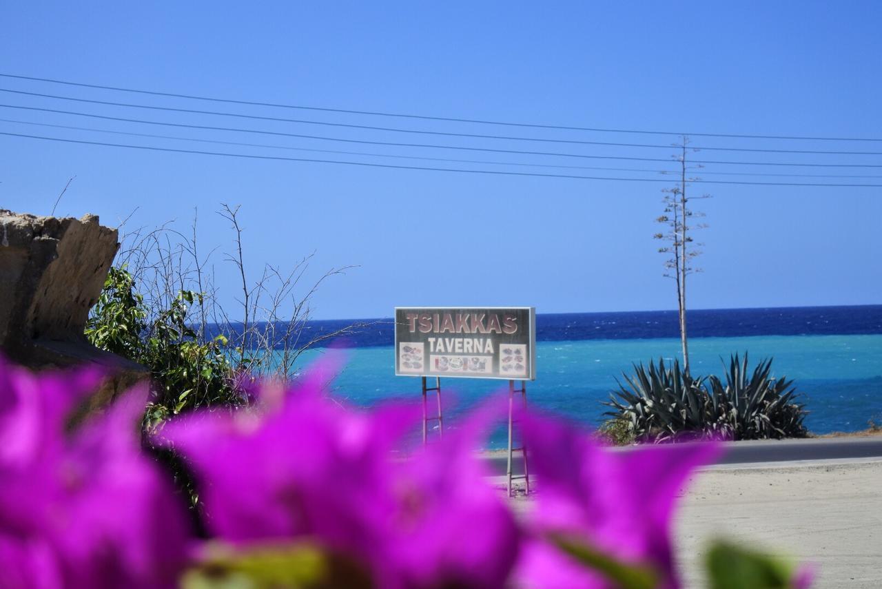Kissonerga Beach Apartment 파포스 외부 사진